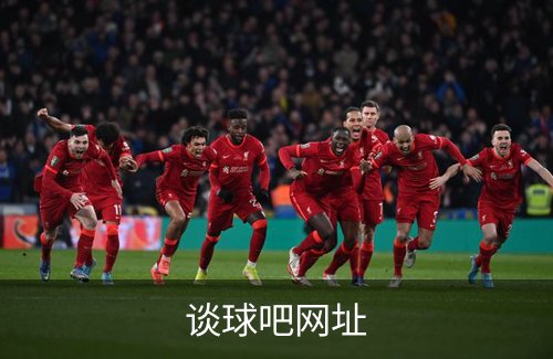 谈球吧网址介绍